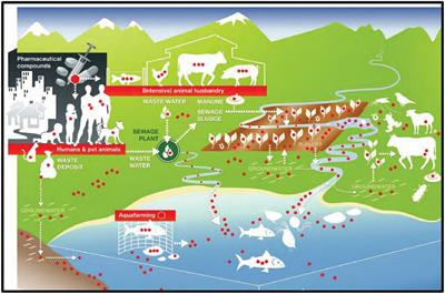 Emerging challenges in antimicrobial resistance: implications for pathogenic microorganisms, novel antibiotics, and their impact on sustainability